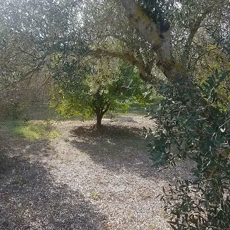 Apartment βιλλα πευκοχωρι *